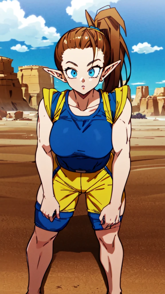 1girl, beard, sayan armor, long hair( side ponytail), brown hair, blue eyes, flaring Aura, pointed ears ((elf ears)),  in a desert, blue sky, (best quality), ((masterpiece)), (detailed),  Saiyan Scouter, Saiyan_Scouter, scouter, tinted eyewear, saiyan armor, armor