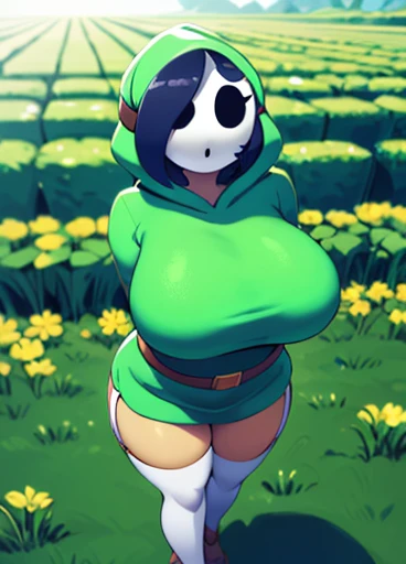 ((best quality)), ((highly detailed)), masterpiece, absurdres, detailed face, beautiful face, (detailed eyes, deep eyes), (1girl), full body, (((very wide shot))), shygal, mask, (faceless), black eyes, (round eyes, wide eyes), eyelashes, no nose, green hair, large breasts,  (green hood), __hoodie__, sleeves past wrists, green skirt, [[belt]], white thighhighs, (outdoors, in a flower field, afternoon)