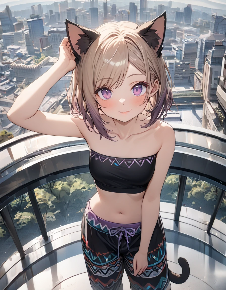 (Textured skin, Two braids, very smile and blush face, Best Quality), ((UHD, Masterpiece)), (High Definition:1.3), Beautiful,(Masterpiece), Realistic, Beautiful photo, newyork Cityscape below from the roof of high-rise building、1girl, Slender small breasts、dog ears, light brown hair、Cute Beautiful Girl、Small Bikini