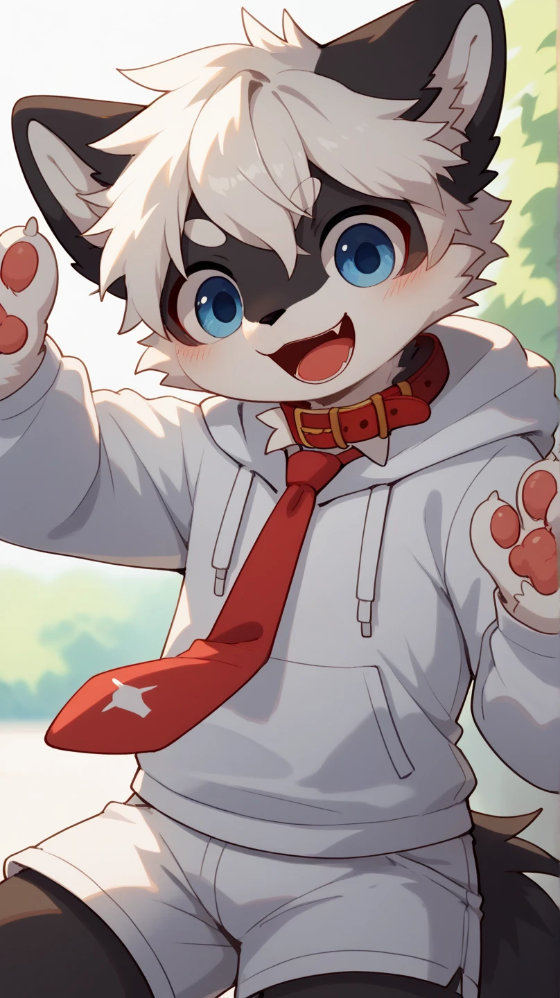  very detailedな, very detailed,white hair with black and white fur,Age 15,male, excited to see bones , wolf fur,Excited,participate, cute face, fluffy fur like one,Horny boy,cute ears ,Fluffy Ears ,Fluffy Ears ,Show me a paw ,Red collar,Tie the husband's , cute fur boy, boy,,Horny boy , black back , Blushing Nose ,Alone,Droopy ears,light blue and white hoodie clothes , white shorts