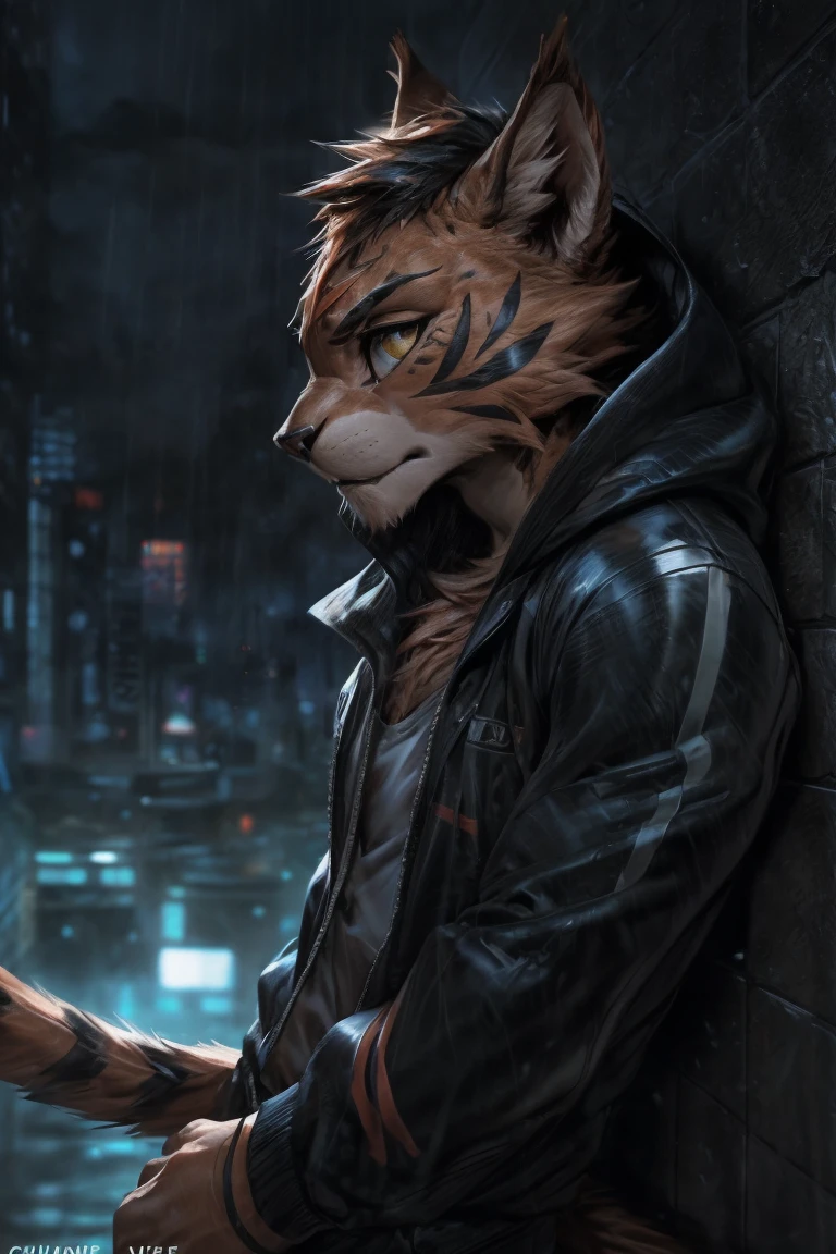 4k, ,8K, A high resolution, best quality, perfect colors, perfect shadows, perfect lighting, posted on e621, (by Chunie, by canyne khai, by t.y.starale), male, furry, Torracat(Pokemon), Torracat,Pokemon,anthro, solo, yellow eyes, (Realistic eye details 1.2), night city, rain, (Realistic Rain detail), Streetwear Hoodie wear, Full body like, Slim body, leaning against the wall, dramatic lighting, soft lighting, day, highly detail, Hair coiled, delight, Standing up position, cool pose charm, Abstract beauty, centre, Looking at the camera, Facing the camera, nearing perfection, Dynamic, highly detailed, illustration, (Realistic background), (Leopard Tail), ((Bonifasko lighting)), (Detailed eyes), perfect pupils, detail eyes, detail fluffy fur, (seductive face:1.2), fit body, Looking at the camera,, fit body, perfect male figure, Detailed fur, Detailed face, Perfect face, Detailed background, (Complex), (Super Detail), (Ultra Clear), (Best Quality)
