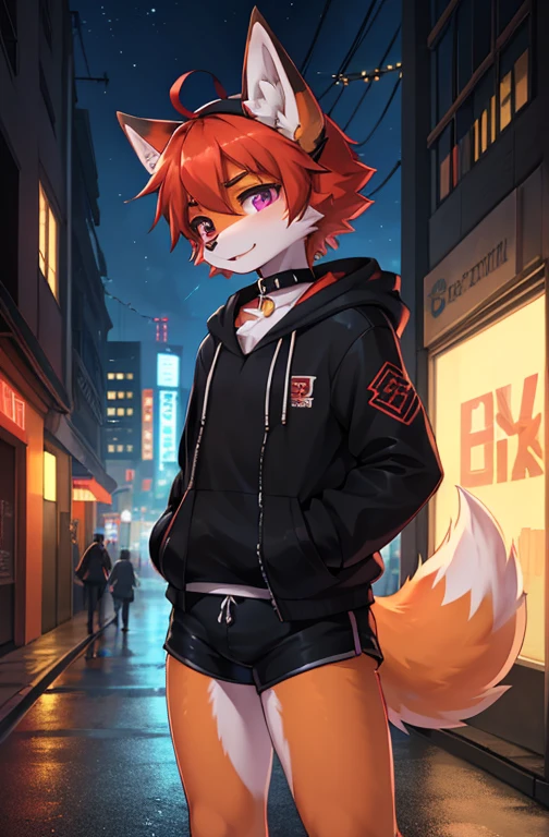fox boy,8k resolution,high resolution,Street style,                   Red collar,White and black hoodie,Shorts,City of Tokyo？    penis