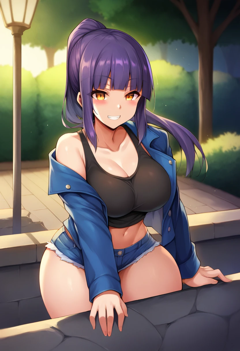 score_9, score_8_up, score_7_up, source_anime, 1girl, solo, park, amber eyes, violet hair, blue jacket, open jacket, black tank top, jean shorts, seated, on a rock, cowboy shot, grin, blush,  big breasts, wide hips, thick thighs, blunt bangs, ponytail, by senastronomy 