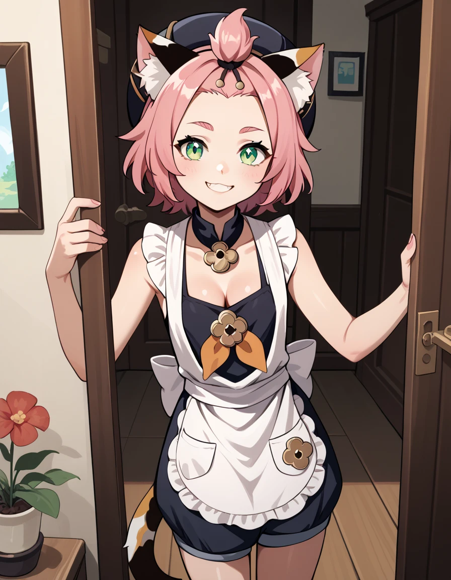 score_9, score_8_up, score_7_up, score_6, source_anime, BREAK diona \(genshin impact\), mngmst_style, 1girl, animal ear fluff, animal ears, cat ears, cat girl, cat tail,  forehead, green eyes, pink hair, short hair, solo, tail, cleavage, small breasts,        happy, doorway, greeting, contemporary apartment, apron, pov, smile, sleeveless, petite
