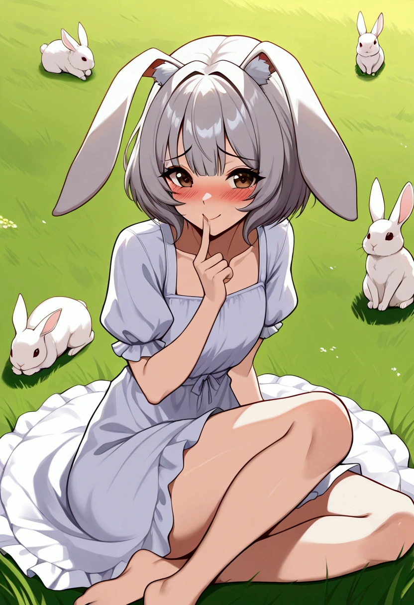 Rabbit、animal