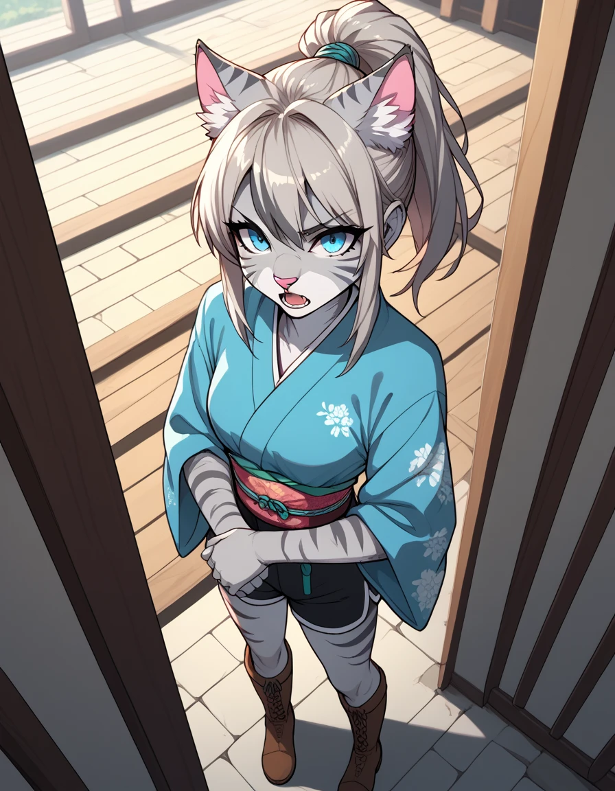 score_9,score_8_above,score_7_above, score_6_above, score_5_above, source_anime,  kimono style , , Female feline Antro Furry , silver skin,  gray stripes on body ,  Blue Eyes,  long blond hair ,  ponytail hair , pink nose, :3,  she's wearing a blue top, short brown shorts , brown boots,  arms crossed,  irritated expression ,  Open mouth, standing,  full body shot 