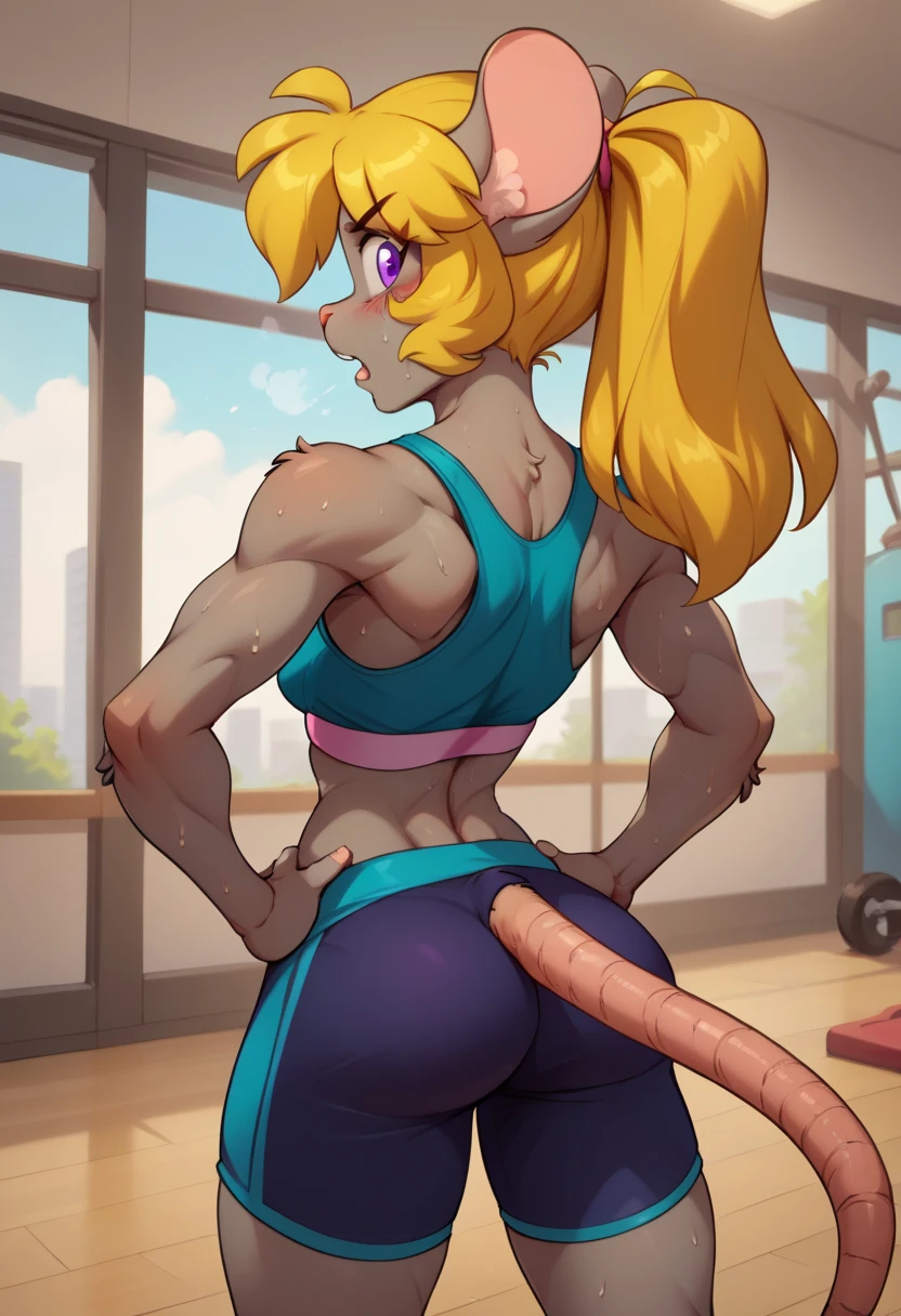 score_9, score_8_up, score_7_up, BREAK 1girl, solo, tootsie, purple eyes, animal ears, mouse girl, mouse tail, grey fur, blonde hair, long hair, ponytail, medium breasts, indoors,
looking at viewer, looking back, toned, rear view, sweat,
sports clothing, sports bra, sports shorts, out of breath, open mouth, hands on hips, sweating heavily, standing