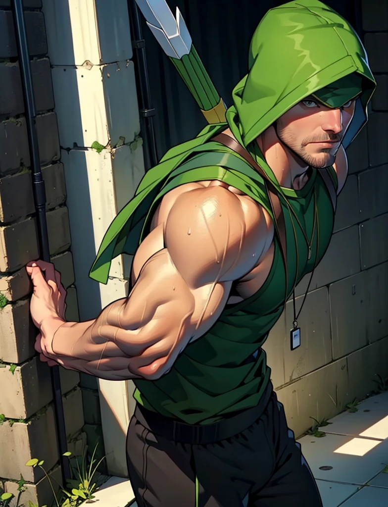 Nsfw, stephen amell as green arrow posing
