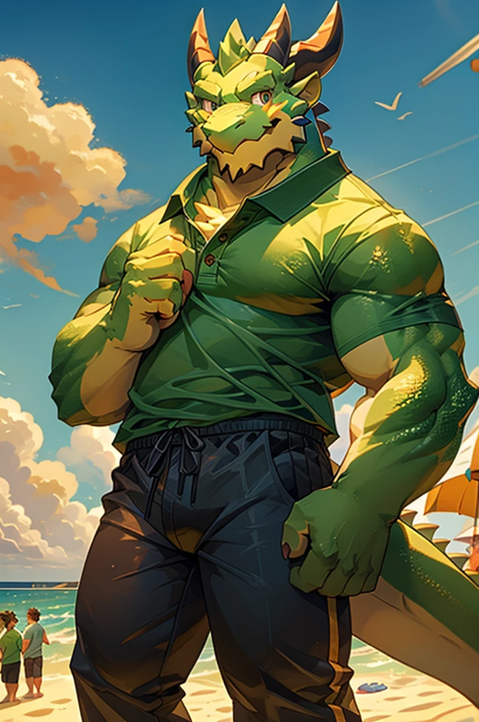 ( is the best quality:1.2),  1 older boy ,  furry, Standing Alone,Body balance , Look directly into the camera,  dragon figure creature , Smile, Friendly expression ,  hands with 5 fingers ,  emerald green skin , Polo Shirt Sweatpants , All ages, seaside, , Panorama, Wide Angle