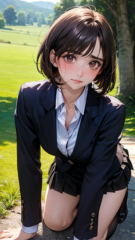 (masterpiece:1.2, top-quality), (realistic, photorealistic:1.4), beautiful illustration, (natural side lighting, movie lighting),
looking at viewer, cowboy shot, front view, 1 girl, japanese, high school girl, perfect face, cute and symmetrical face, shiny skin,
(short hair:1.2, bob cut:1.2, brown hair), swept bangs, dark brown eyes, long eye lasher, (large breasts:0.6, seductive thighs),
beautiful hair, beautiful face, beautiful detailed eyes, beautiful clavicle, beautiful body, beautiful chest, beautiful thigh, beautiful legs, beautiful fingers,
(((black blazer, close blazer), long sleeve white collared shirts, black pleated skirt, black socks)),
(beautiful scenery), A girl is on all fours in the grass in the meadow. She is carrying a large dog on her back and mating with it.
Her face is bright red and flushed, her brow is furrowed, and she looks like she is about to cry.
The skirt is very short.