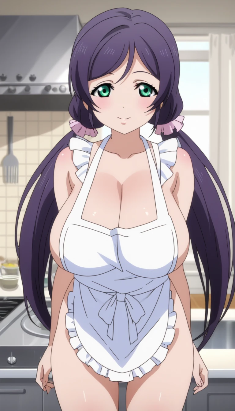  score_9,  score_8_up,  score_7_up,  source_anime,  (anime coloring, anime screencap:1.2),  flat color, shiny skin, (Huge breasts,long breasts),nozomi toujou, green eyes, purple hair, twintails, low twintails, scrunchie, long hair,one woman,naked,naked apron,cleavage between breasts,standing,whole body,from front,indoor,kitchen