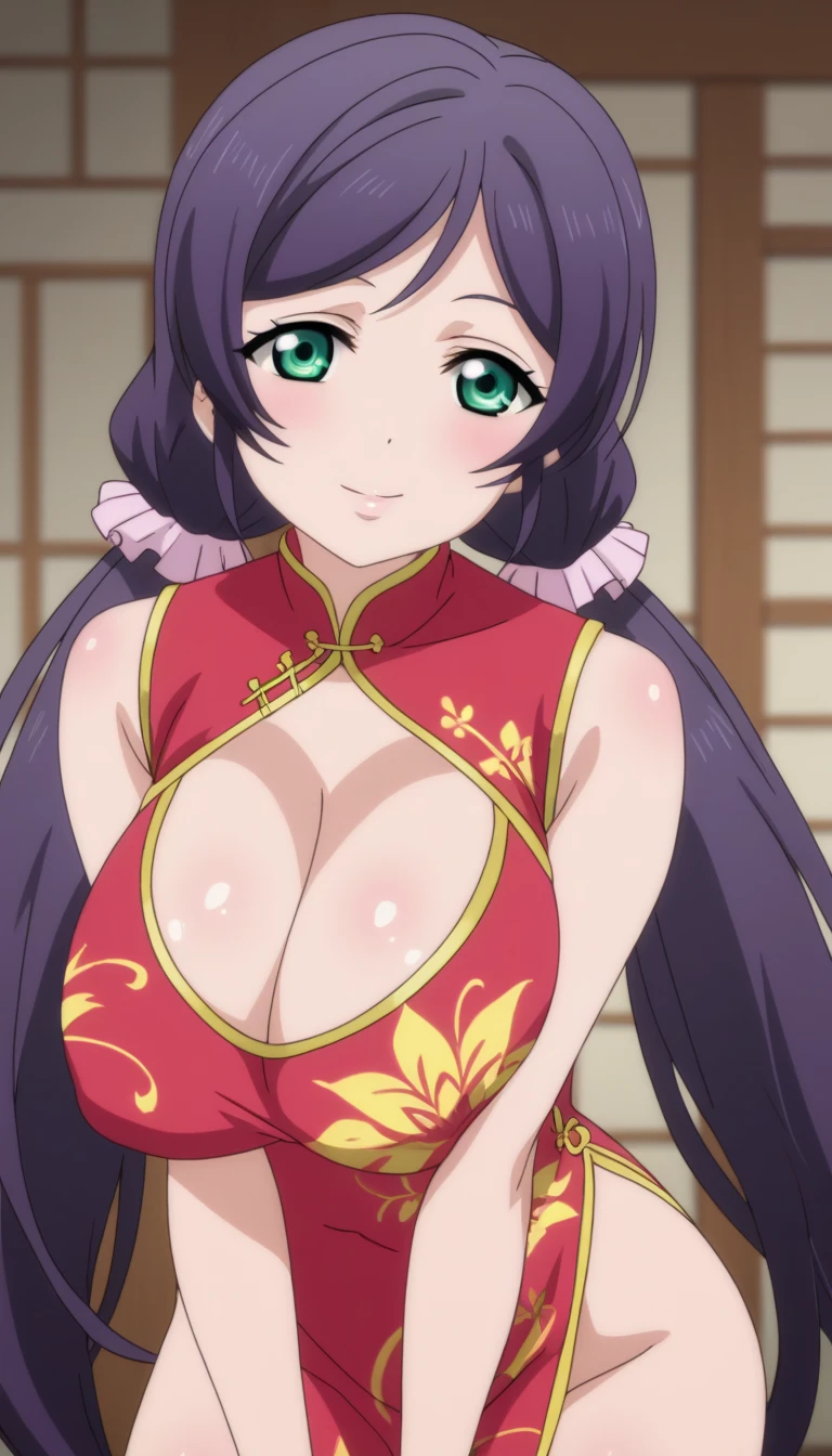  score_9,  score_8_up,  score_7_up,  source_anime,  (anime coloring, anime screencap:1.2),  flat color, shiny skin, (Huge breasts,long breasts),nozomi toujou, green eyes, purple hair, twintails, low twintails, scrunchie, long hair,one woman,chinese dress,posing,sexy pose,looking at viewer,indoor