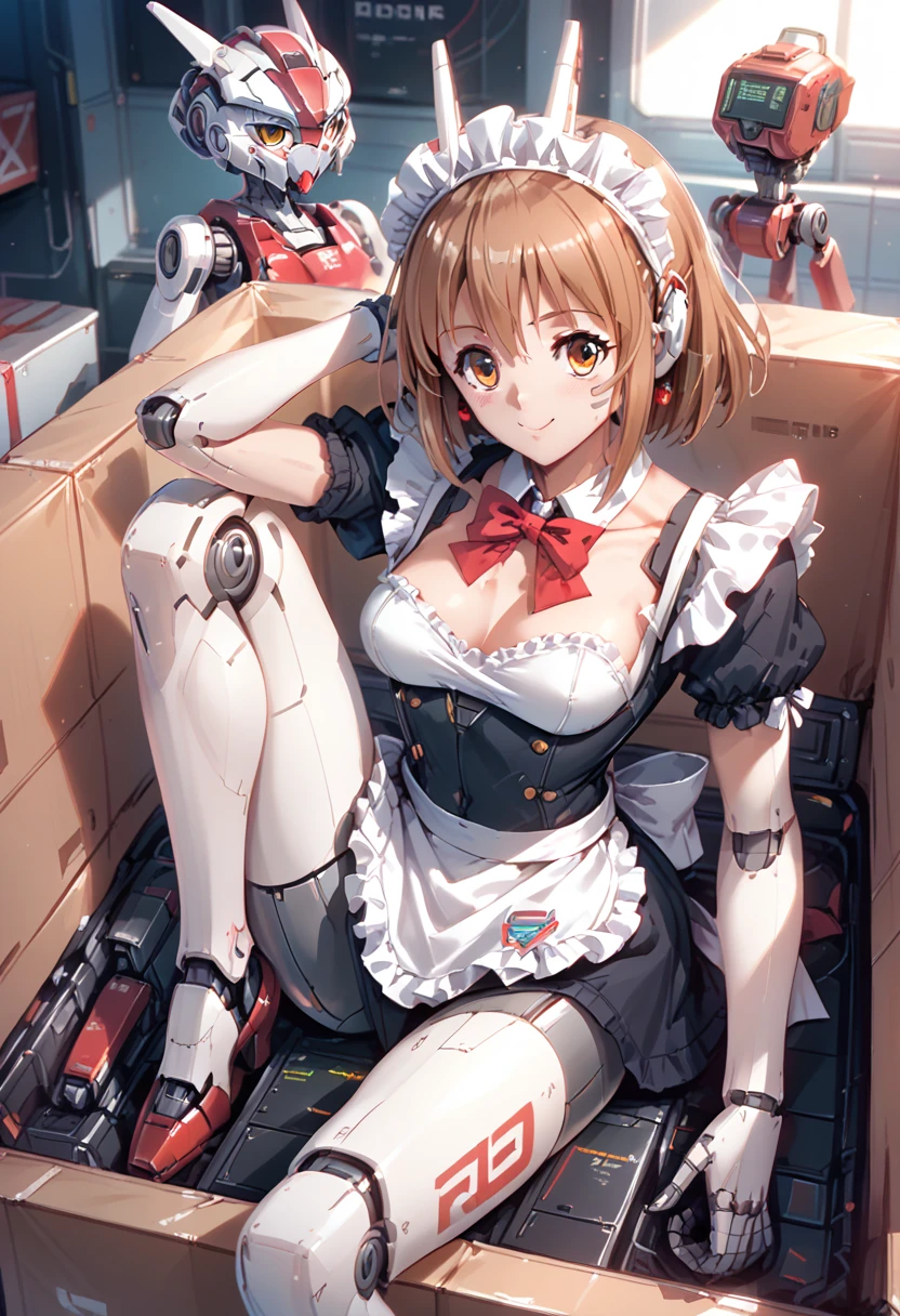 1girl, Amane ai , robotics girl, maid costume, Near future, robotics skin, robotics body, robotics face, robotics head, robotics legs, GUNDAM skin, joined lines, in present box , buffer material, Packaging materials, 