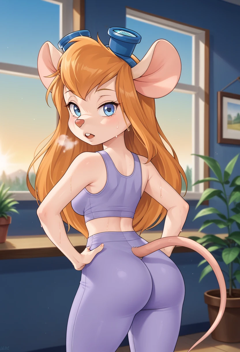 CARTOON_gadget_hackwrench_ownwaifu,
1girl, furry female, long hair, orange hair, blue eyes, bangs, sidelocks, buck teeth, animal ears, mouse ears, animal nose, mouse tail, body fur, tail, goggles, goggles on head, eyewear on head, breasts, medium breasts, sweaty, tired expression, hands on hips, wet with sweat, out of breath 
cleavage, purple yoga pants, gray sports tanktop
((masterpiece)),((best quality)),(highres, absurdres), original, official_art, chromatic_aberration, bokeh, depth_of_field, window, wisteria, loaded_interior, skylight, sunset, indoors, window_shade, potted_plant, focused, looking at viewer, solo, cowboy shot, back view, big sexy ass, big curves, big ass