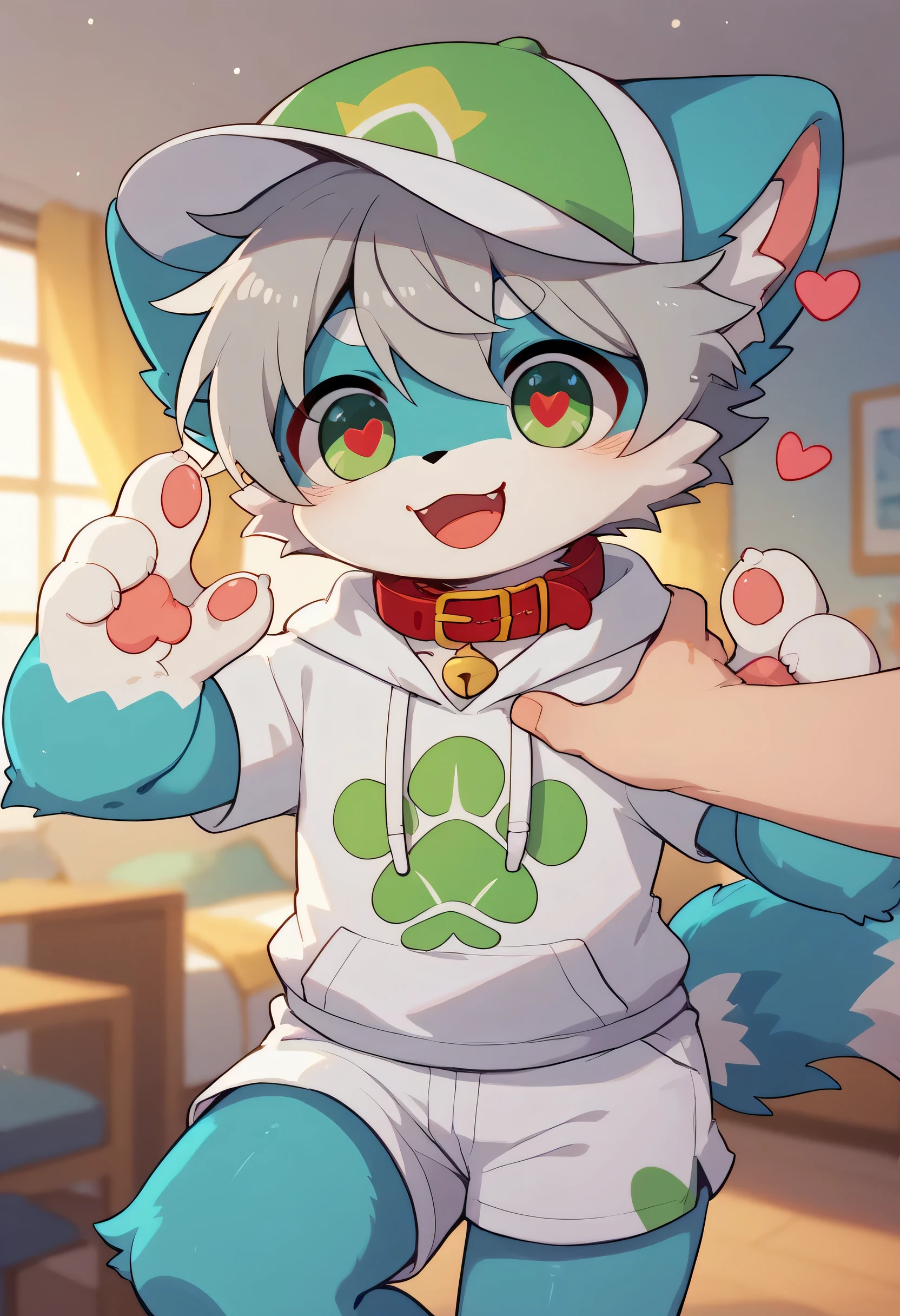  very detailed な, very detailed , gray hair with blue fur ,,male,骨を見てExcited,Heart Eyes,participate,Red collar, green white and colored hat, cute face, fluffy fur like one,Excited,Horny boy,Smiling face, Stylish Room,：cutesy poo [pie]：say in simpery voice,：act cute to guys﻿,kitten,Dropped ears,Beautiful room,,Cheek your hands ,Heart Eyes,Want, into white shorts,WHITE SHORT SLEEVE HOODIE 