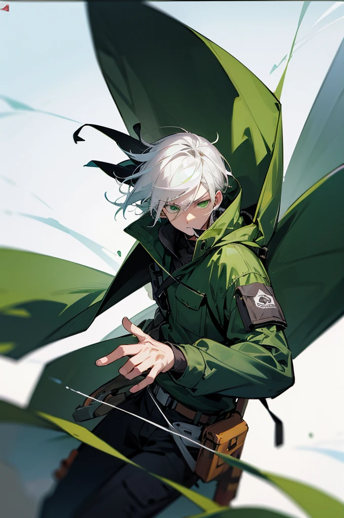 Adult, male, Serious Expression, White Hair Green eyes, Adventure clothing.