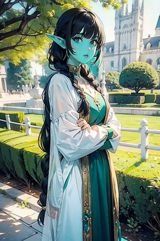 female elf,  long black hair ,  braided hair , king,  round face, GREEN AND WHITE CLOTHES, em uma cidade de fantasia, fantasy character