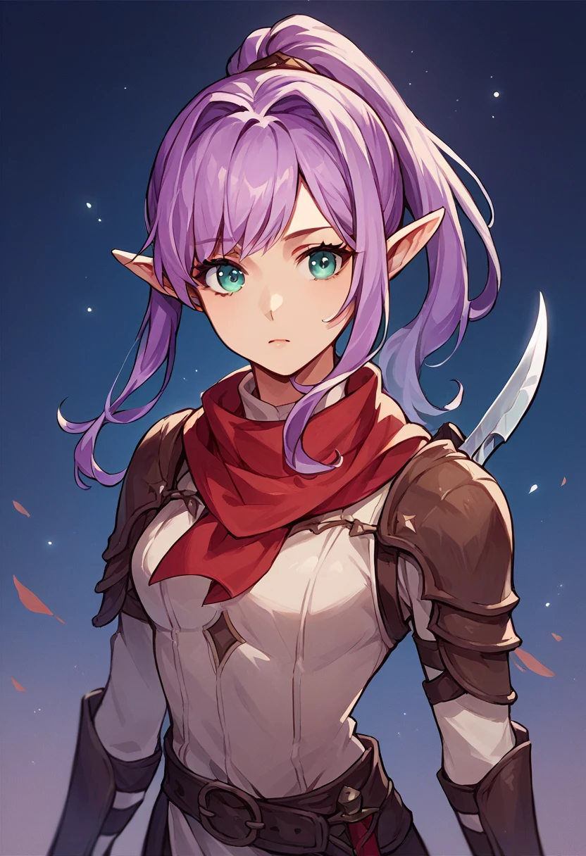 score_9, score_8_up, score_7_up, score_6_up, score_5_up, score_4_up, (source_anime), lilac hair, elf, high ponytail, teal eyes, brown black white assassin outfit, red neck scarf, 1girl, solo, fantasy, dagger