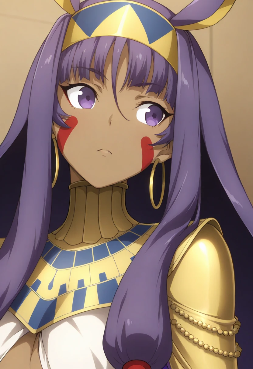 high resolution, masterpiece, necessary, detail, best quality, quality, necessary, details, High details, Precise, 
 
1girl, ufotable style, ufotable anime, 

Nitocris, nitocris (fate), nitocris Fate Grand Order, fate,  Fate Grand Order, long hair, purple hair, purple eyes, tan skin, animal ears,

