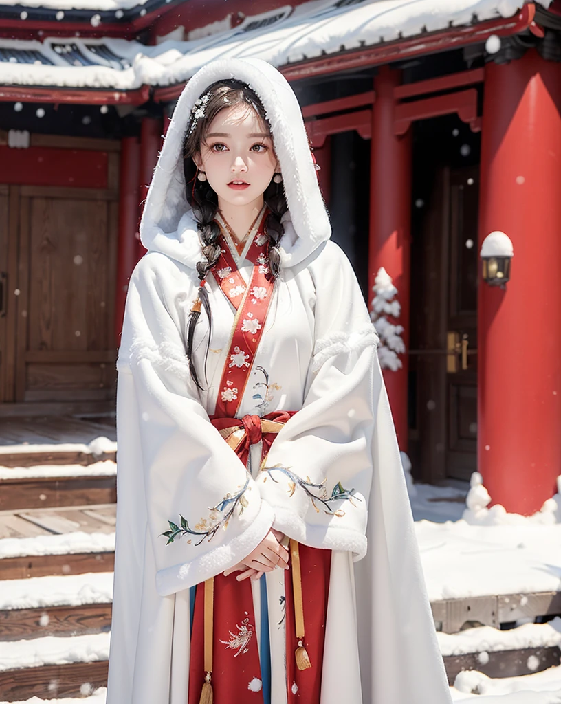 masterpiece, best quality, realistic, 8k, official art, cinematic light, ultra high res, 1girl, day, sunlight, light on face, (white hanfu), (Winter hanfu:1.2), (cloak:1.2), (snow:1.3),(upper body)
 French twist, jewelry ,necklace , Appalachian