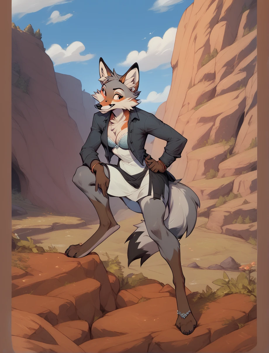 Female, furry, anthropomorphic, dress, bra, valley, canyon, rocks, fox