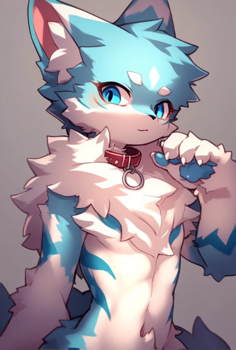 Kemono, femboy, collar, neck fluff, source_furry, score_9, score_6_up, zPDXL 