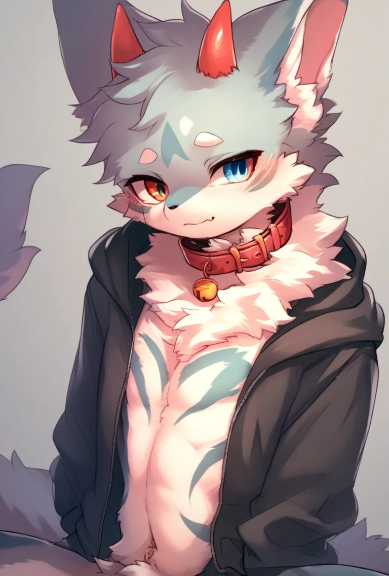 Kemono, femboy, collar, neck fluff, source_furry, score_9, score_6_up, zPDXL 