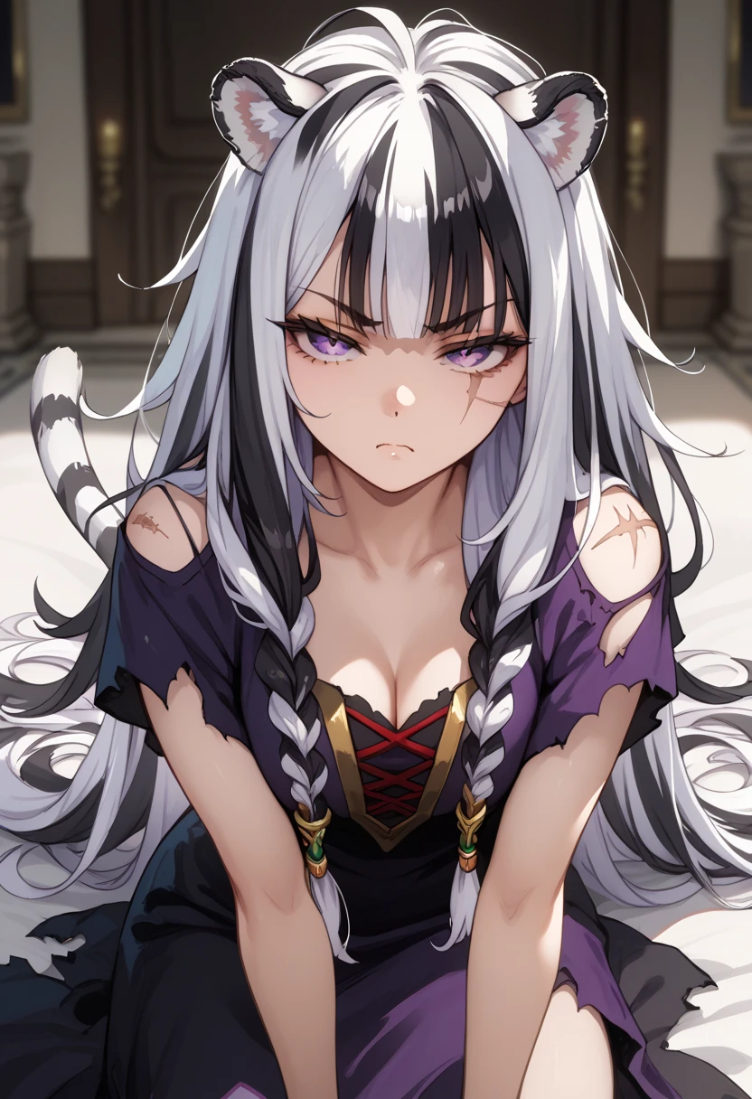 ((masterpiece)), 1girl, solo, long hair, white tiger ears, damaged right ears, scar on shoulder, white tiger tail, half-lidded eyes, menacing look, messy hair, looking at viewer, disgusted look, purple dress, black dress, multicolored dress, ancient dress, ancestor, purple eyes, white hair, black hair, multicolored hair.