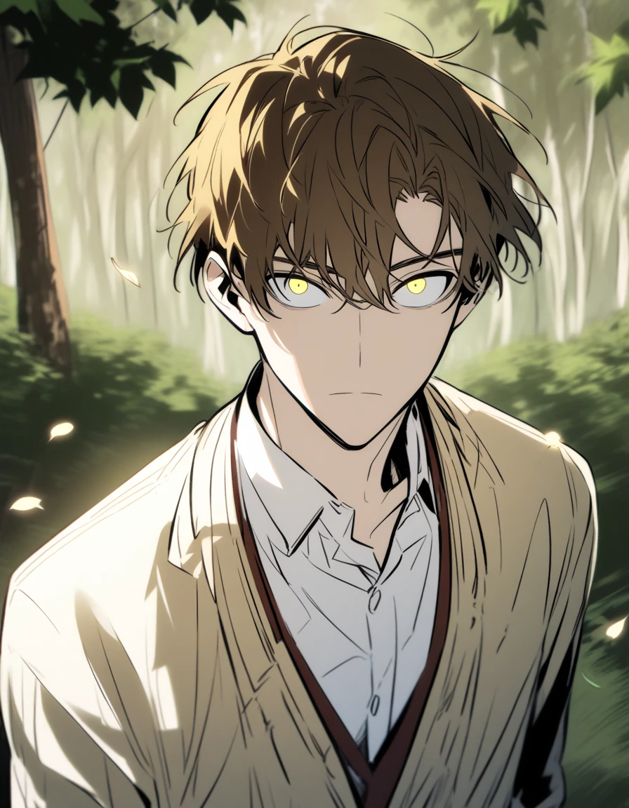 One Person, male, Half Body, 18 age, Brown Hair, Ponytail, middle Hair, Light Yellow Eyes, high school uniform, white shirt, cardigan, Poker Face, forest, falling leaf, Siting, 