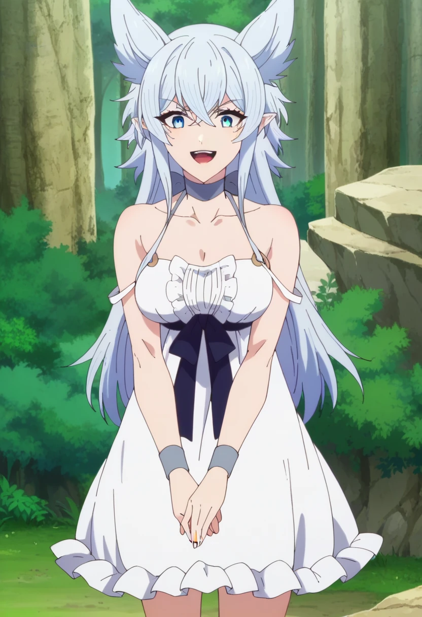 score_4, score_5, score_6, score_9, score_8_up, score_7_up,  source_Anime,
Fenris Lv2 ,
 1 girl, smile,  open mouth,
 Grey Hair,  long hair ,  blue eyes,  wolf ear,  pointed ears,
 Choker, white dress, Bare shoulders,  black ribbon,  clevis on a stone,  strap slip ,
 viewers who stop at the edge,  Standing ,  cowboy shot leading to the climax,
 outdoor, forest,
fine Anime  screenshot _4xl size, Anime_ screenshot 