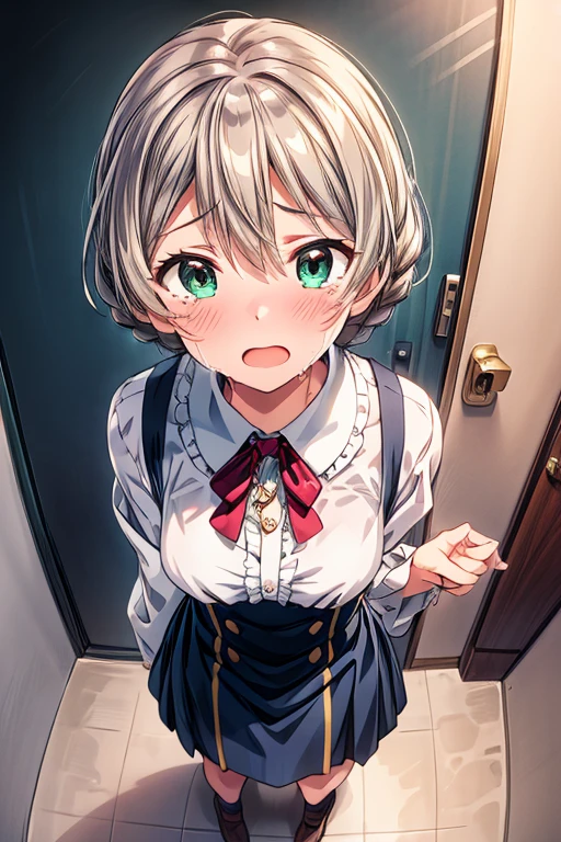  1 girl,  high definition ,  turn your gaze ,  open her mouth ,  and blushing ,  open their mouths slightly, tears, Awkward,  crying expression , anime,  super detailed,  gentle colors,  anatomically correct,  high detail,  textured skin ,  very detailed , Peeing、Character portrait, whole body、　 pee、　 can't make it in time from front full body look at viewer standing in front of toilet　Grab the hem of your skirt
 