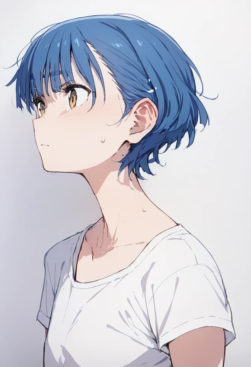 pt，Ryo Yamada， Anime Style ，Clothing，Sporty， Flat Shading，Yamaguchi Ryo， blue hair