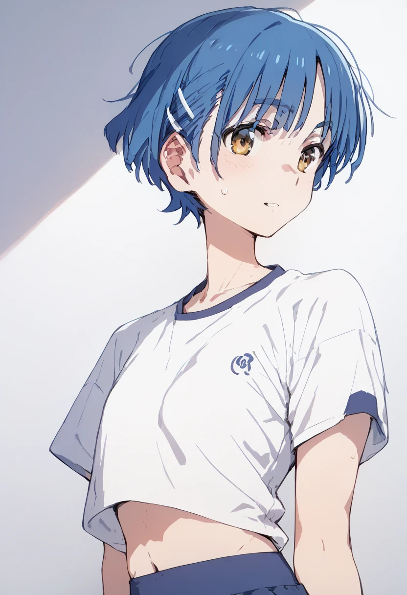 pt，Ryo Yamada， Anime Style ，Clothing，Sporty， Flat Shading，Yamaguchi Ryo， blue hair