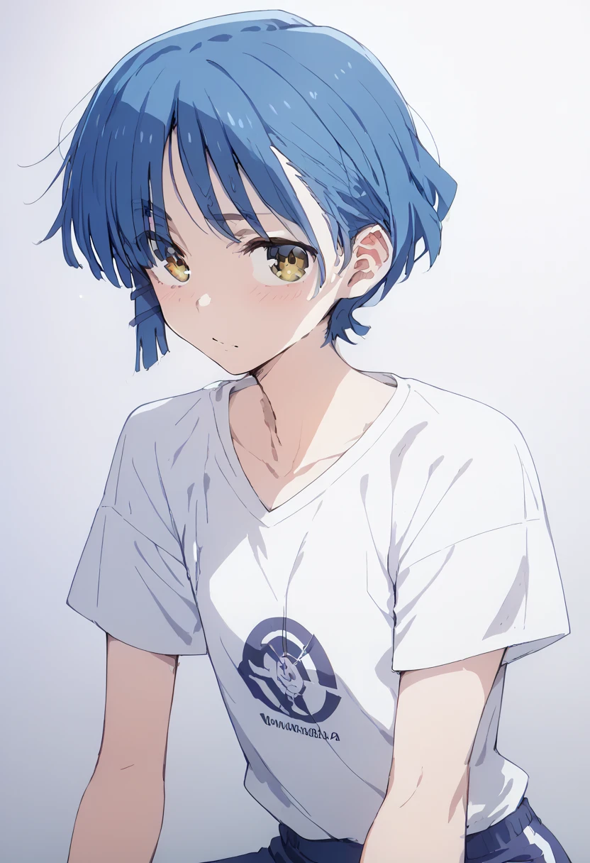 pt，Ryo Yamada， Anime Style ，Clothing，Sporty， Flat Shading，Yamaguchi Ryo， blue hair