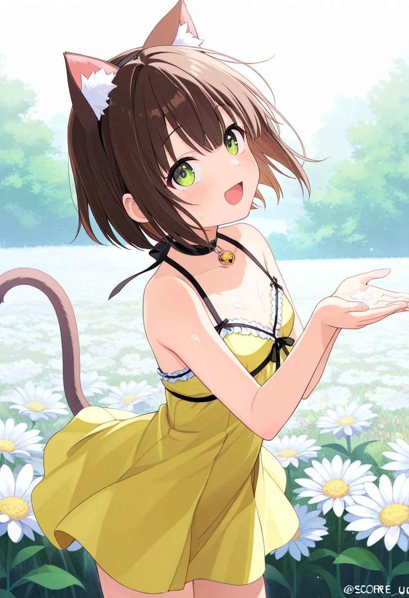  top quality、 on the body Be careful、 anime painting、One girl、 very small breasts、Slim body、Brown cat ears and tail、Big round eyes、 brown hair 、 short bob、brown skin、Cute single tusk、Yellow-green dress、Flower Field、 the wind is blowing、 fun atmosphere、smile、 spread their hands、 Looking up at the sky