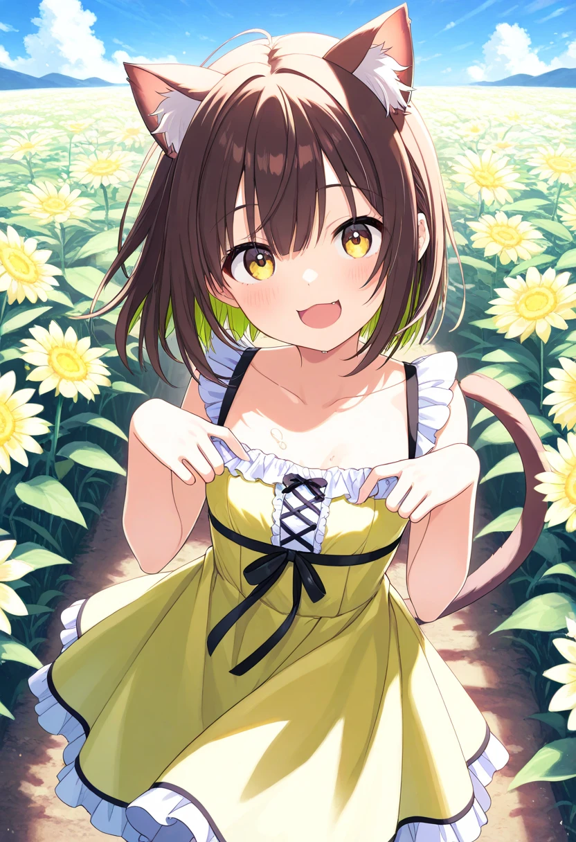  top quality、 on the body Be careful、 anime painting、One girl、 very small breasts、Slim body、Brown cat ears and tail、Big round eyes、 brown hair 、 short bob、brown skin、Cute single tusk、Yellow-green dress、Flower Field、 the wind is blowing、 fun atmosphere、smile、 spread their hands、 Looking up at the sky