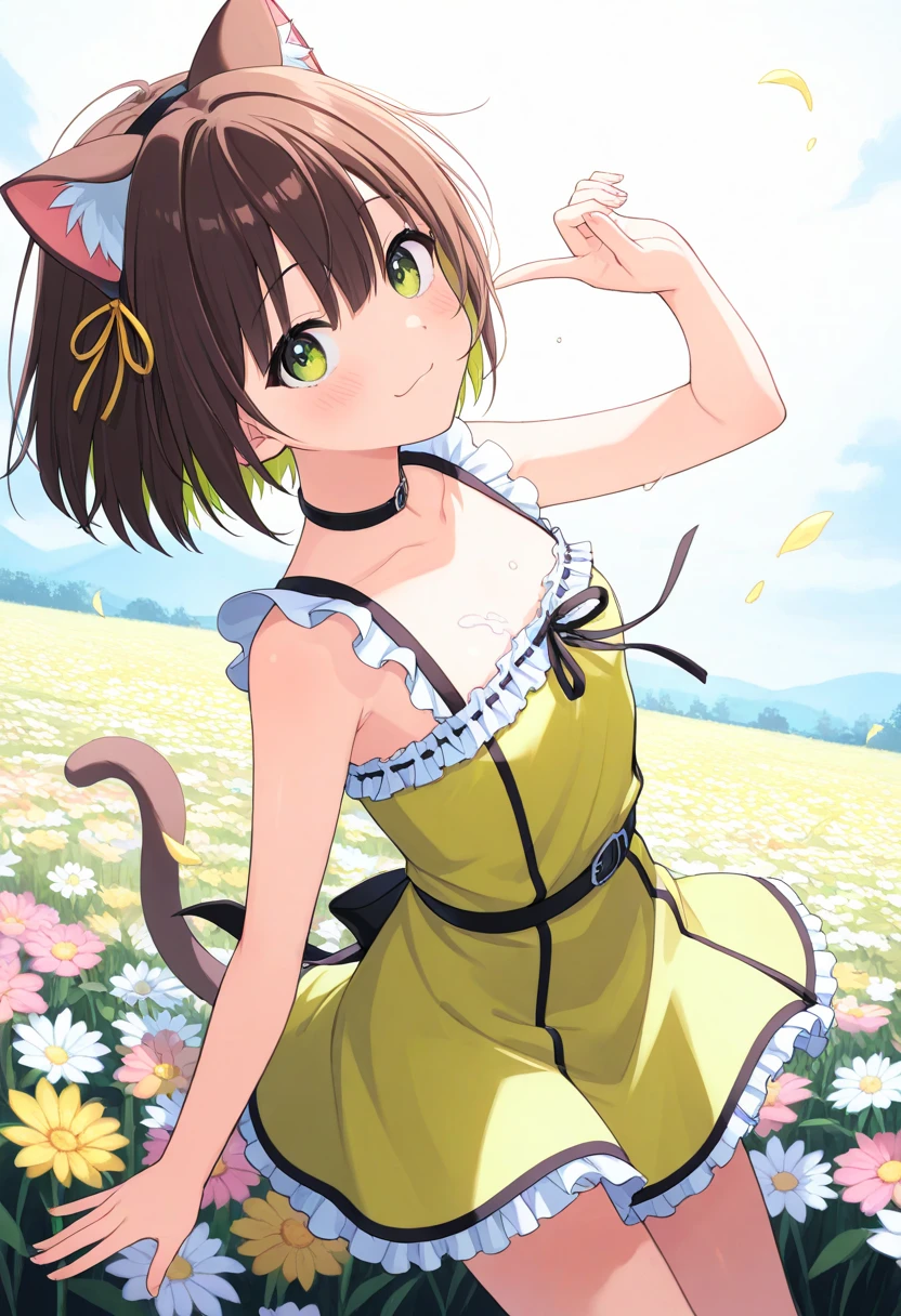  top quality、 on the body Be careful、 anime painting、One girl、 very small breasts、Slim body、 Brown Cat Ears and Tail、Big round eyes、 brown hair 、 short bob、brown skin、Cute single tusk、Yellow-green dress、Flower Field、 the wind is blowing、 fun atmosphere、smile、 spread their hands、 Looking up at the sky