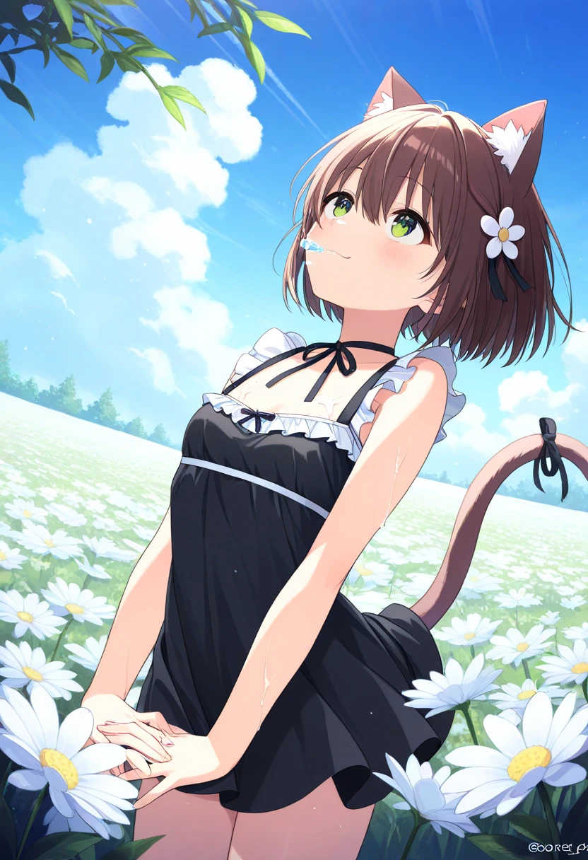  top quality、 on the body Be careful、 anime painting、One girl、 very small breasts、Slim body、 Brown Cat Ears and Tail、Big round eyes、 brown hair 、 short bob、brown skin、Cute single tusk、 black dress、Flower Field、 the wind is blowing、 fun atmosphere、smile、 spread their hands、 Looking up at the sky