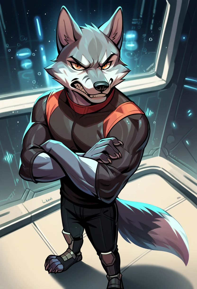 score_9, score_8_up, score_7_up, score_6_up, score_5_up, score_4_up, by lunlunfox, wolf o' donnel, source_furry, hi res, concept art, realistic, bokeh, inside spaceship, high angle view, solo, standing, looking at viewer, clenched teeth, anthro, male, muscular, arms crossed