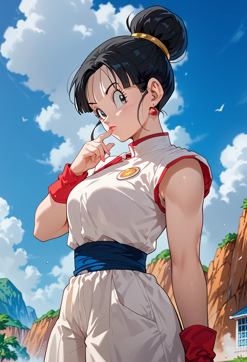 woman, black hair, white skin, hair up, chi chi, dragon ball, anime style