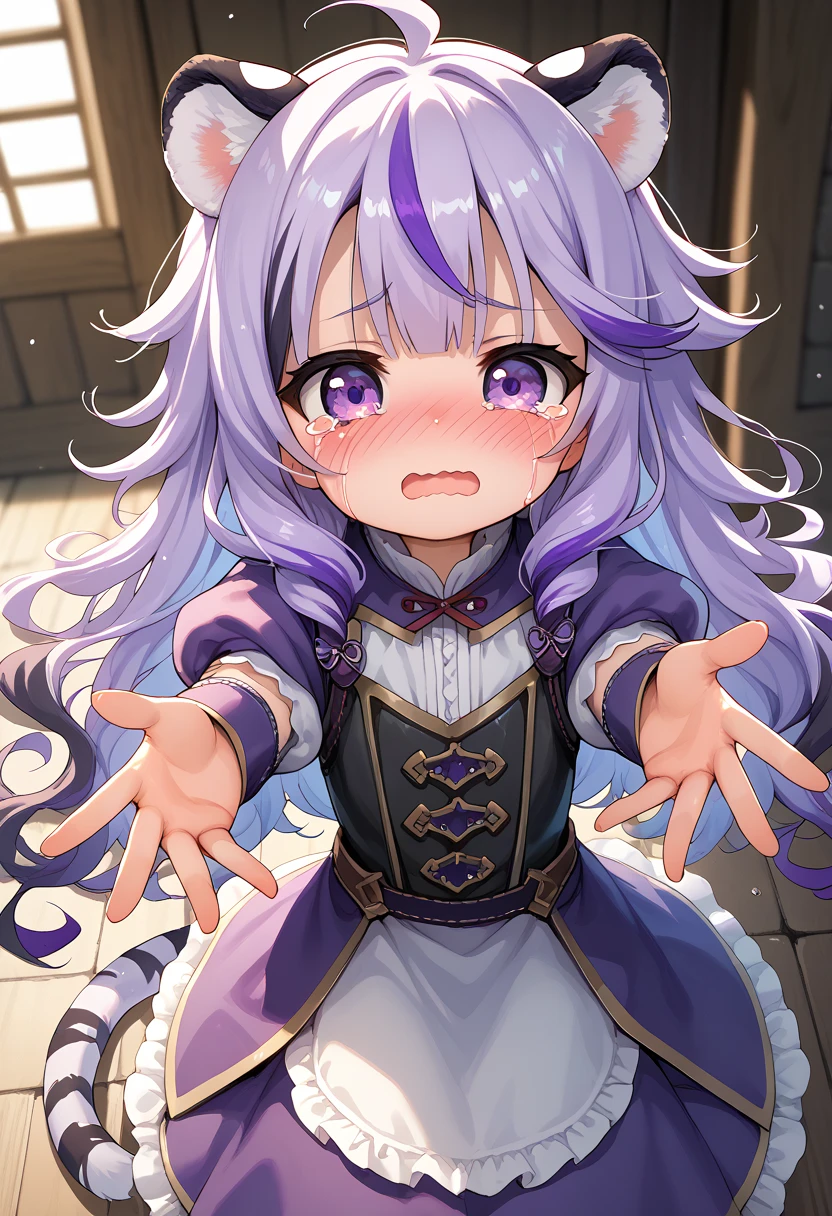 ((masterpiece)), anime lighting, 1boy, solo, long hair, purple hair, multicolored hair, purple eyes, cute, shy, blush, young, very young, white tiger ears, white tiger tail, medieval clothes, front view, messy hair, armored clothes, purple clothes, black clothes, multicolored clothes, shortstack, crying, open mouth, wavy mouth, reaching out to the viewer with both hands, view from above, female viewer.