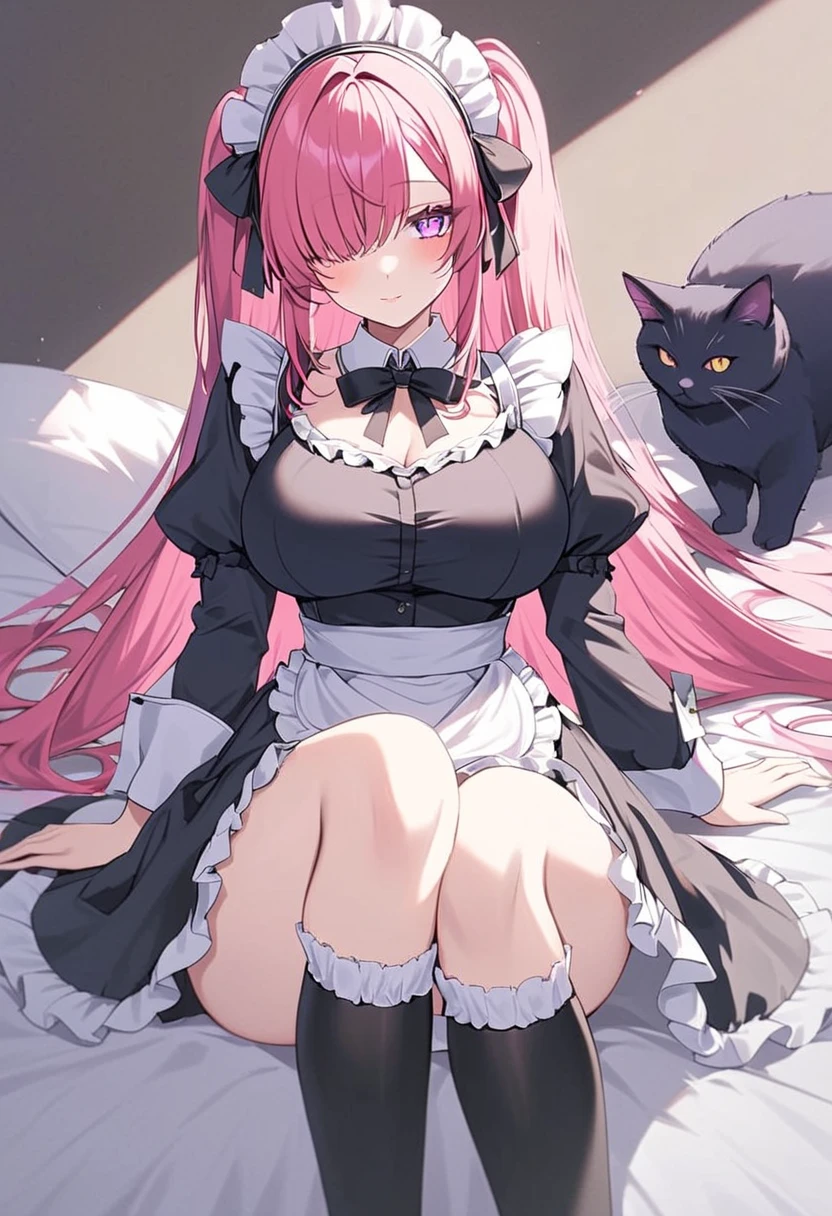 1 girl, beautiful anime girl, long hair, celeste hair, long eyelashes, ((heterothromic eyes, purple left eye, yellow right eye)), light skin, mole on cheek, red eyeliner, black dress with white fluff, ultra detailed, beautiful, big breasts, maid, [[full body]]