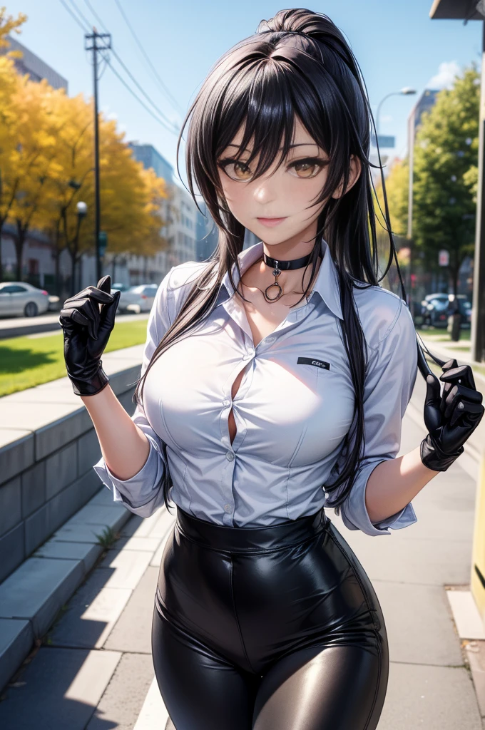 (Yaedef :1.4), 8K, highres,  ultra detailed , ( Masterpiece:1.4),  Best Quality , Sakuya Shirase, symmetrical body, beautiful, Alone, standing,  dynamic pose ,  looking at the spectator, Tender smile, long ponytail black hair,  detailed face ,  looking at the spectator,,  beautiful eyes, amber yellow eyes,  choker :1.6, ( white collar shirt :1.4),  long black gloves , ( shiny black leggings),  Park, angled view,  perfect breasts ,  badass anime girl , bright clothes