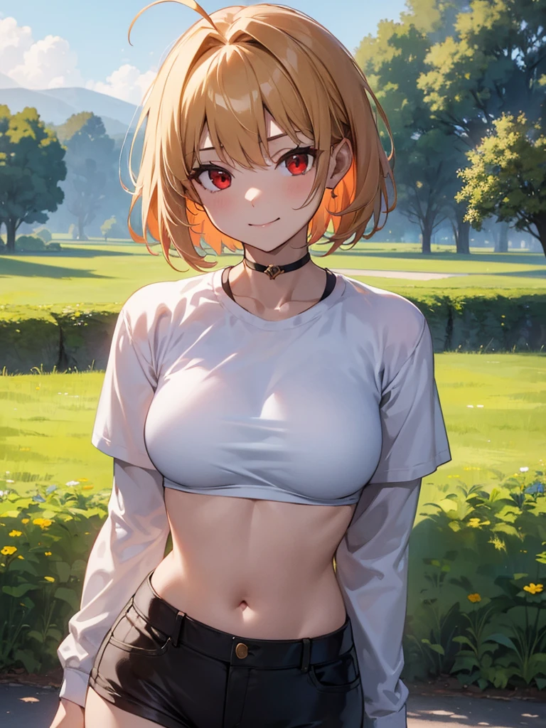 (​masterpiece, top-quality, hight resolution, Unity 8k, extremely details CG:1, Best Picture), Adult Film Actress, arcueid brunestud, blonde hair, (red eyes:1.5), short hair, ahoge, 1girl, Upper body, A provocative woman hitchhiking on an empty countryside road during the day. She is dressed in casual yet slightly revealing attire, such as a simple top and shorts, but she is provocatively lifting her jacket to show her bra to attract attention. Her expression is playful and teasing, with a smirk on her face and confident body language. The background features a quiet rural road with trees and fields stretching into the distance. The atmosphere is sunny and bright, with no other people in sight, emphasizing her bold action.