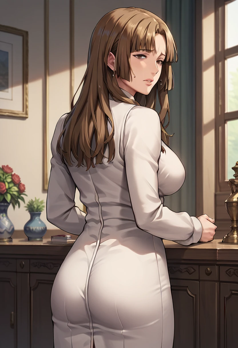  top quality,  Masterpiece , mature woman,RosaUmineko, long hair, brown hair, brown eyes,  standing with different breasts 、from behind