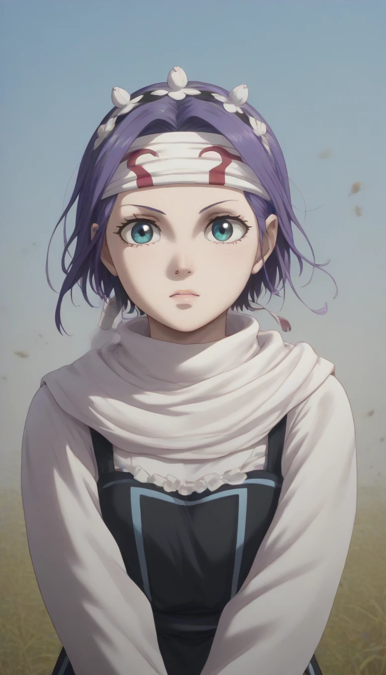 ((((Rem)))) Re:Zero kara Hajimeru Isekai Seikatsu
(レム)  emotionless score_9, score_8_up, score_7_up, 1girl, ((cowl)) headband on forehead detailed clothing 
