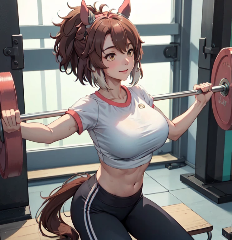 1lady solo, (dantsu flame \(umamusume\)), ((lying on back) on bench press), (holding barbel) (lifting up), (stylish gym outfit), (cropped top) (yoga pants), (mature female:0.8), (light smile:0.8), (masterpiece best quality:1.2) delicate illustration ultra-detailed, large breasts BREAK (fitness gym) indoors, various fitness equipment, energetic, detailed background