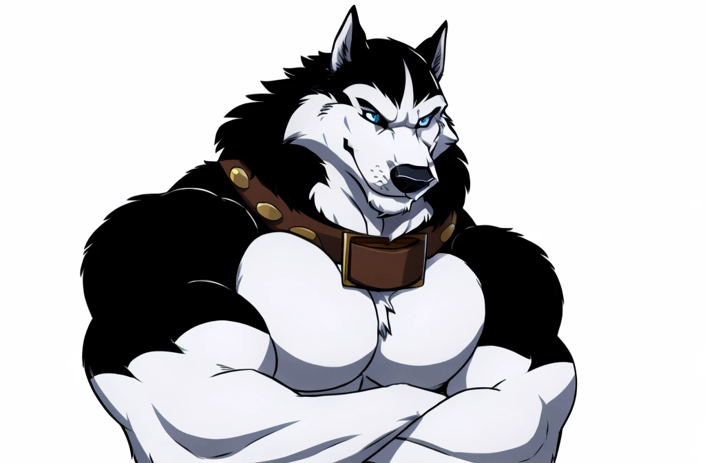 alaskan malamute, masculine, male, anthro, very muscular:1.5, tight muscles:1.2, well defined muscles:1.2, pectorals:1.5, muscular arms, wide chest, muscular chest, wfa style, detailed eyes, white background, proud, serious expression, arms crossed, blue eyes, collar, detailed collar