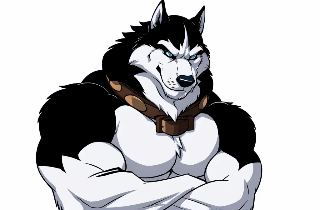 alaskan malamute, masculine, male, anthro, very muscular:1.5, tight muscles:1.2, well defined muscles:1.2, pectorals:1.5, muscular arms, wide chest, muscular chest, wfa style, detailed eyes, white background, proud, serious expression, arms crossed, blue eyes, collar, detailed collar