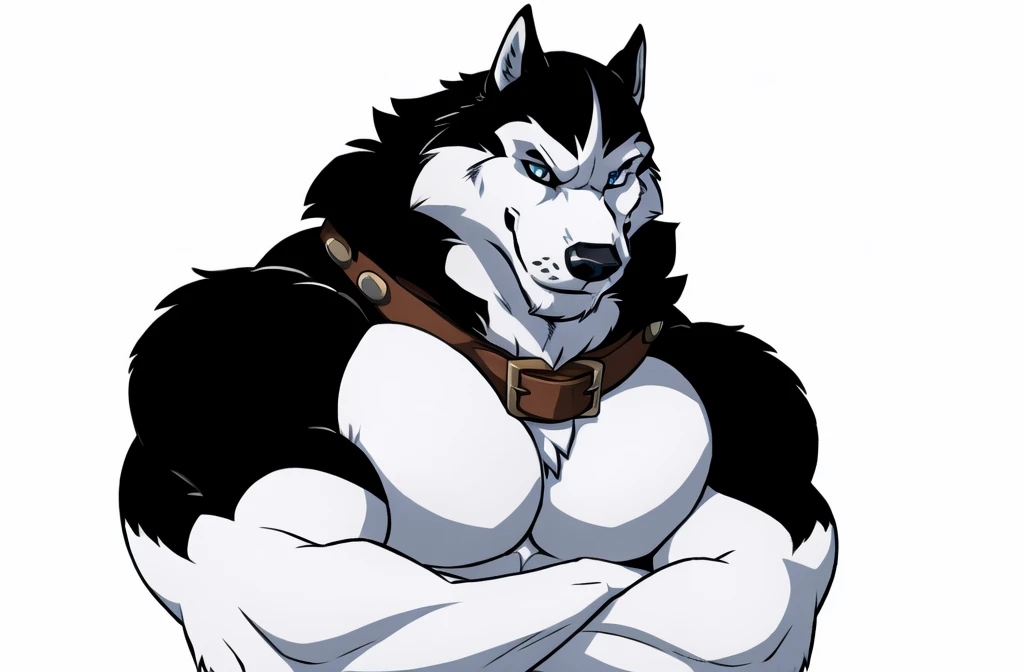 alaskan malamute, masculine, male, anthro, very muscular:1.5, tight muscles:1.2, well defined muscles:1.2, pectorals:1.5, muscular arms, wide chest, muscular chest, wfa style, detailed eyes, white background, proud, serious expression, arms crossed, blue eyes, collar, detailed collar